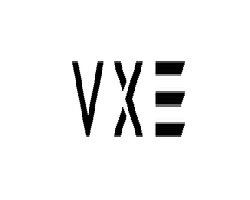 vxe logo